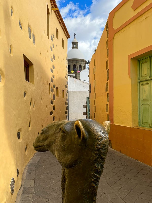 bronze sculpture of a camel in a narrow alleyway with yellow walls and cathedral dome view