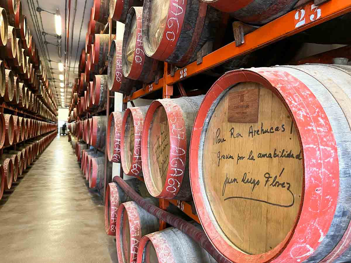 a line of barrels of rum in a distillery