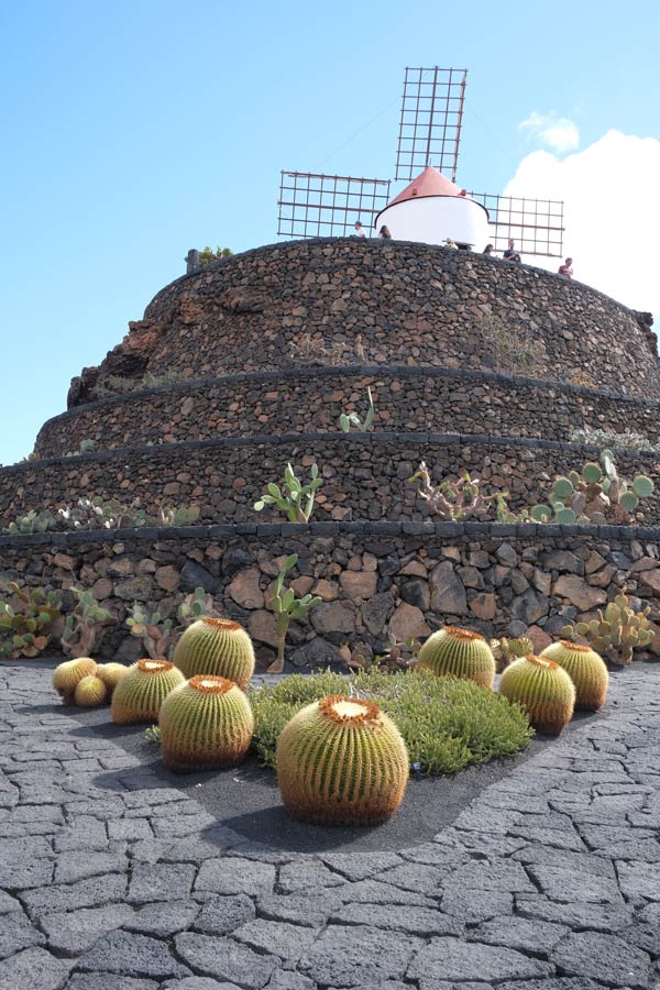 low round cacti in front of a small windwill at the top of a terrace