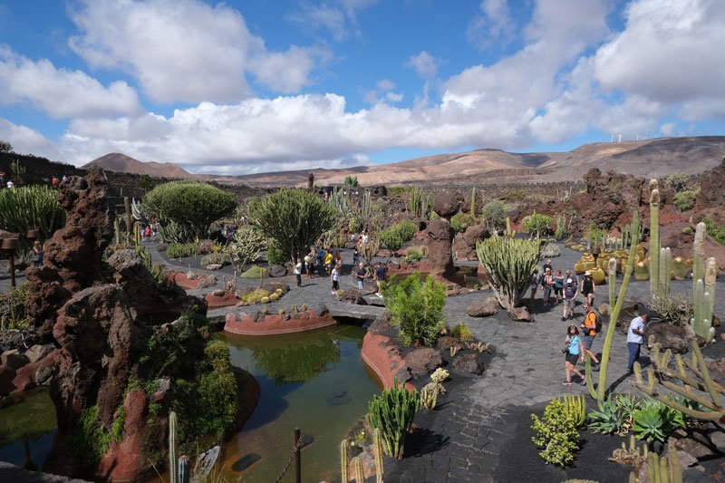 elevated view of the jardin de cactus lanzarote surrounded by low volcanic peaks