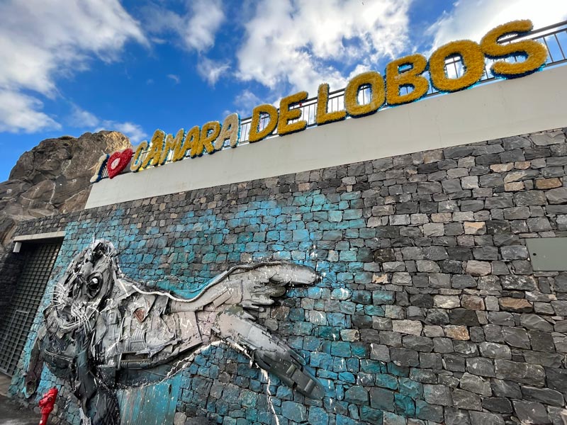 mural of a giant seal below a sign saying camara de lobos