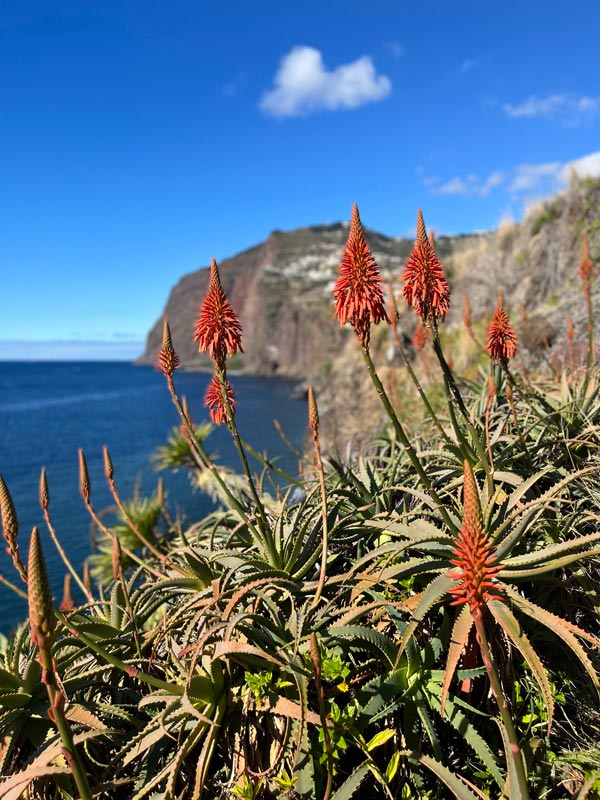 a camara de lobos cabo girao view 28