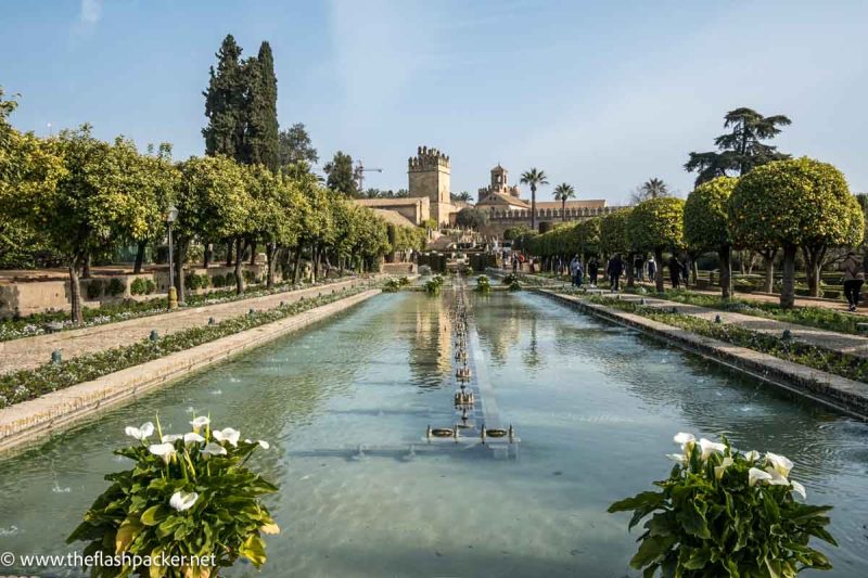 large rectangular fountain in garden reflecting the royal alcazar building in cordoba spain