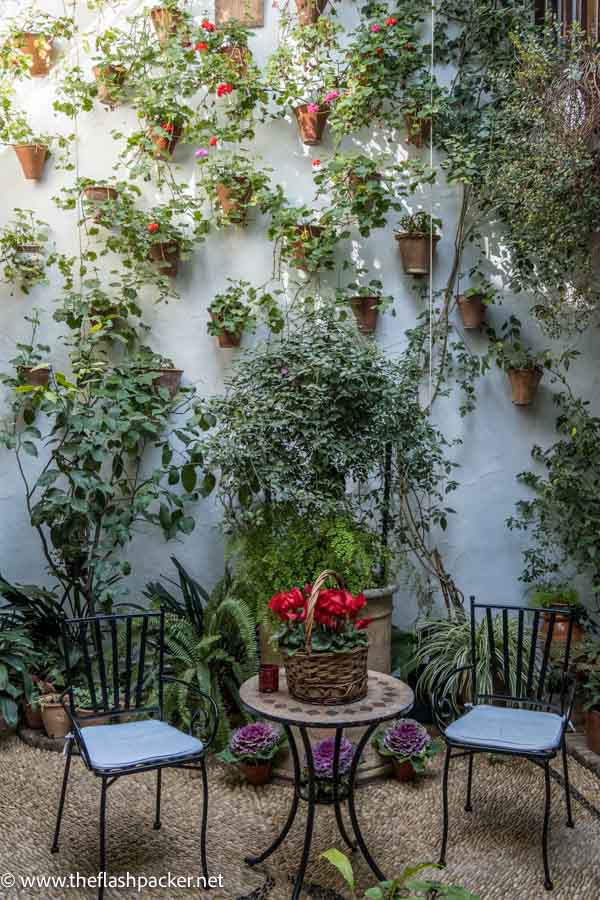 pretty patio with lots of flowerpots and table and 2 chairs