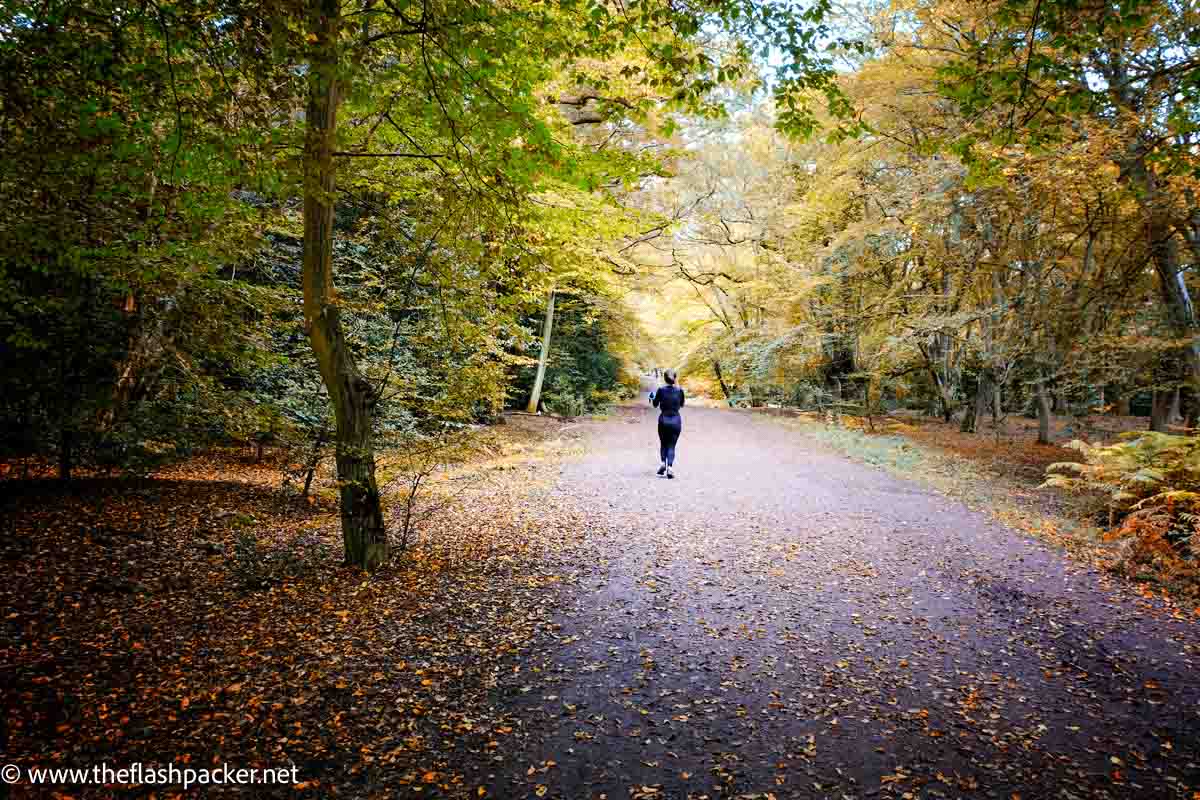 woman walking along dappled woodland path