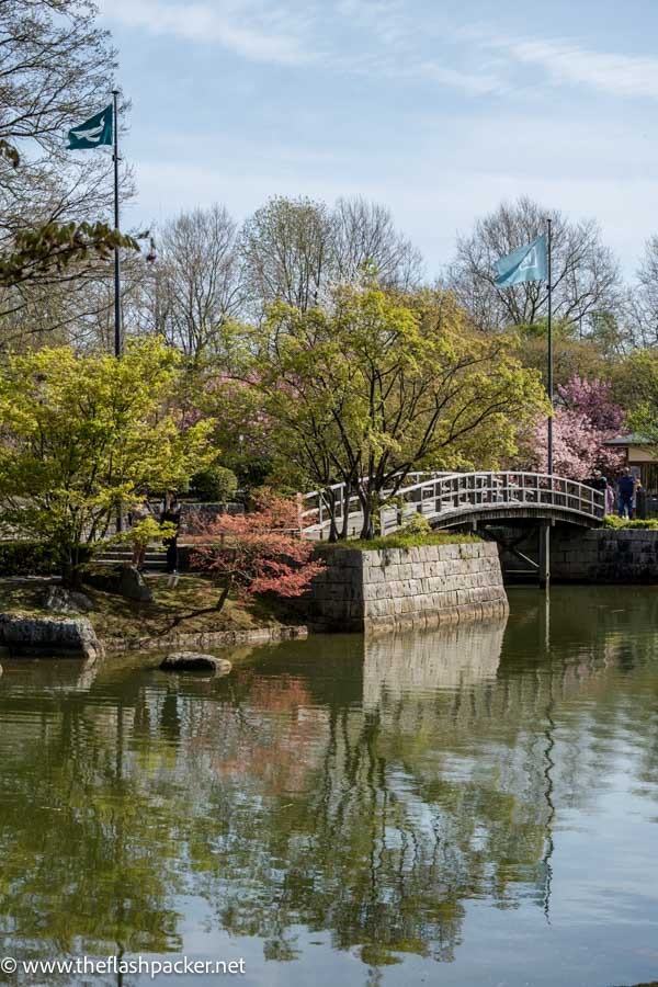 small arched footbridge over stream in a japanese garden