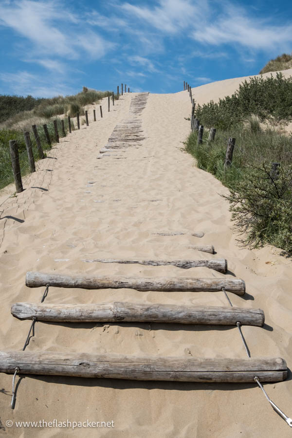 path leading up through sand dunes