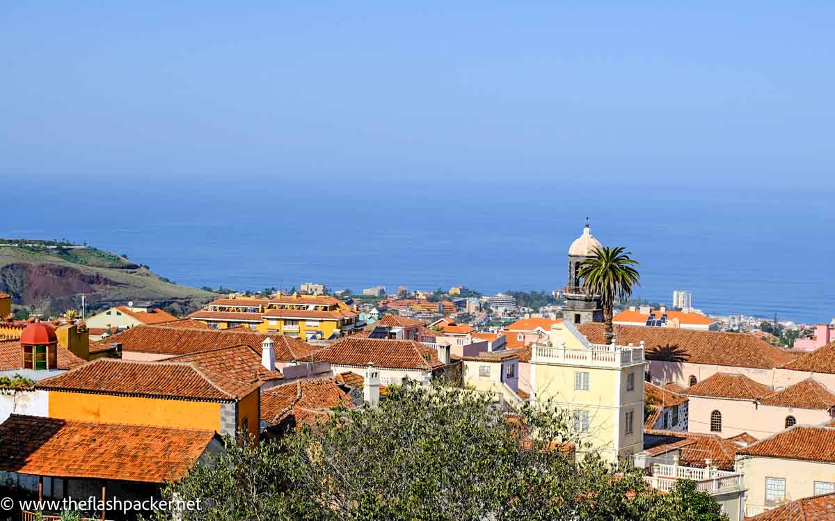 skyline of a colonial town in tenerife spain with one large palm tree and sea on distance