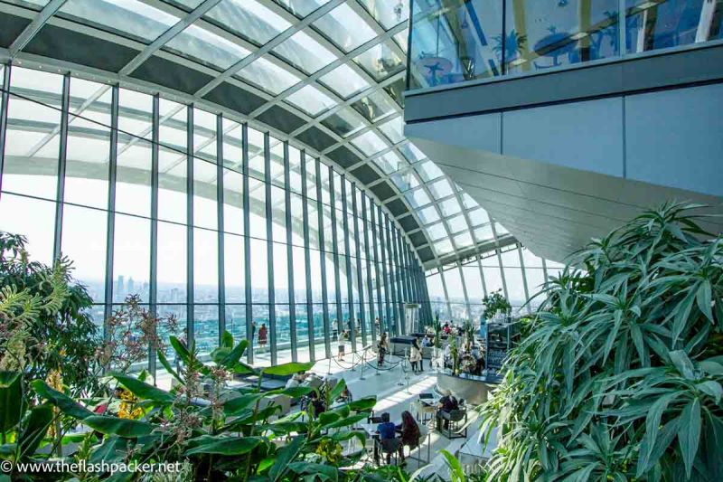 people walking down curved steps in sky garden with lush ferns and curved glass window and ceiling