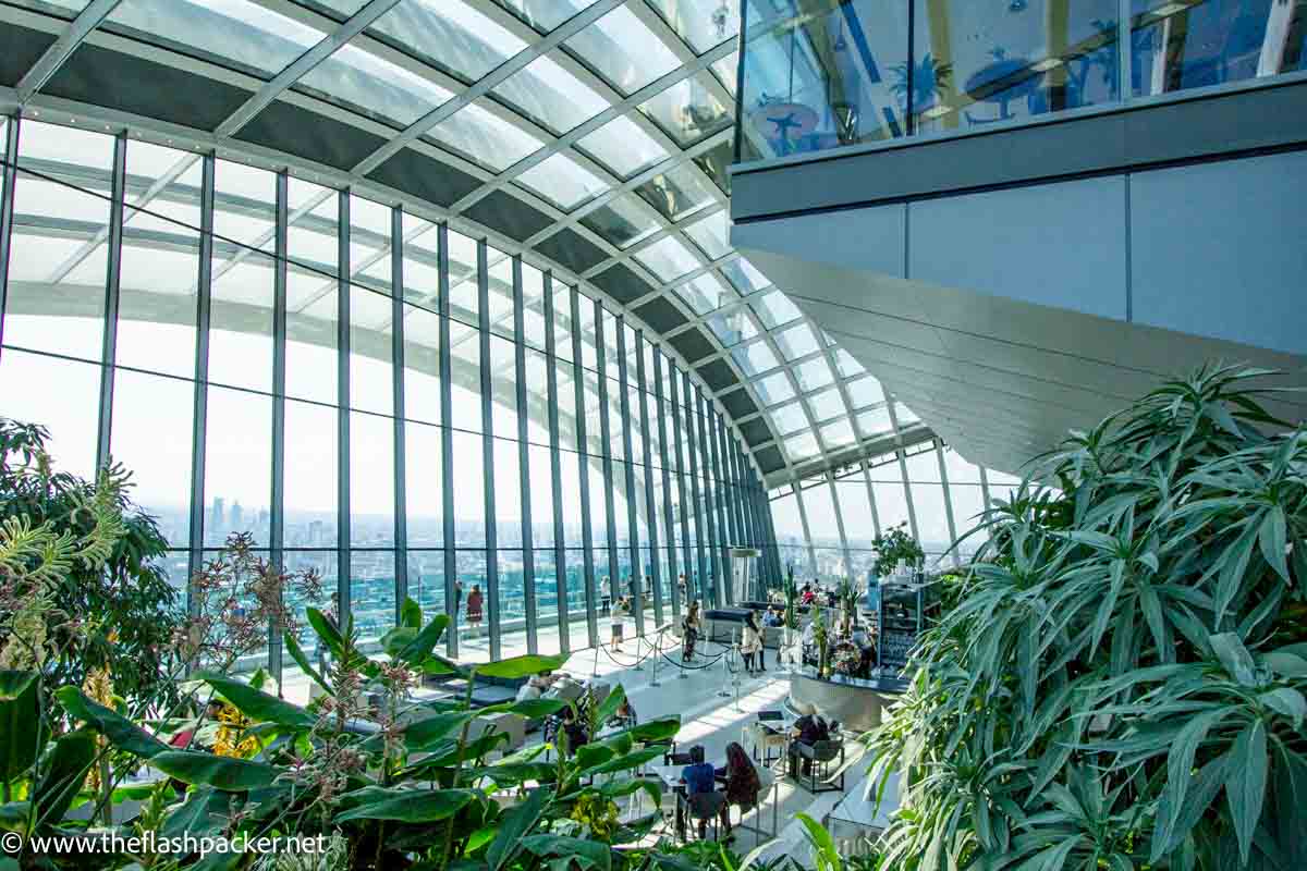 people walking down curved steps in sky garden with lush ferns and curved glass window and ceiling