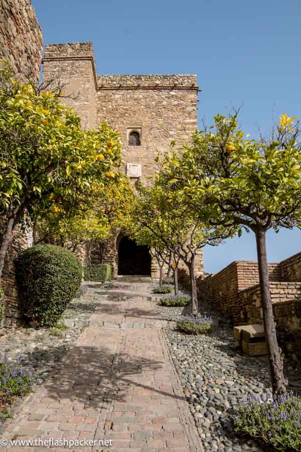 pathway lined with orange trees leading to stone gateway