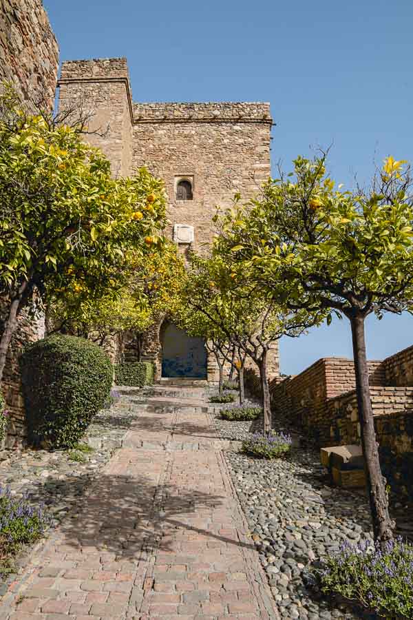 pathway lined with orange tress leading to stone gateway