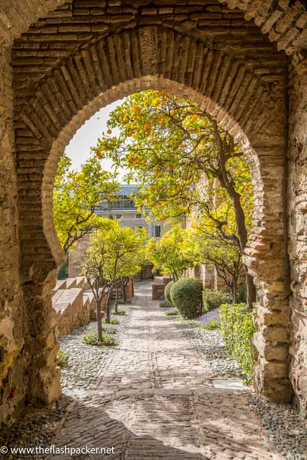 path and tree seen through a graceful stone archway