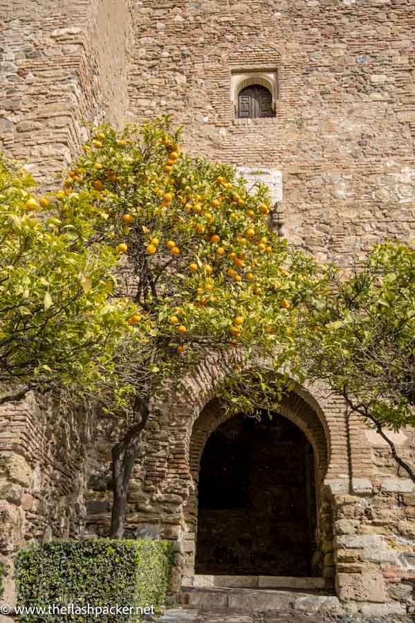 islamic stone gateway framed by orange trees