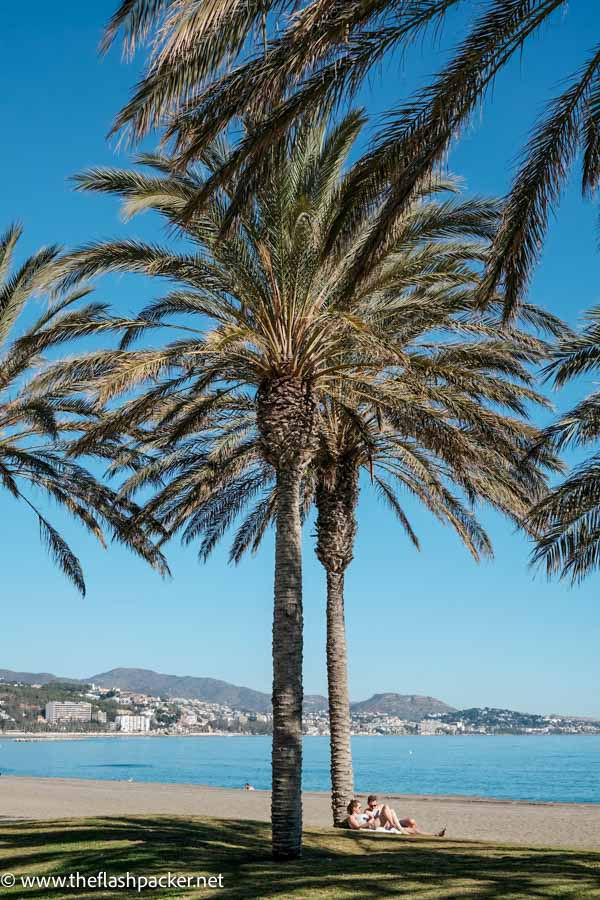 twp people relaxing under palm tree on beach