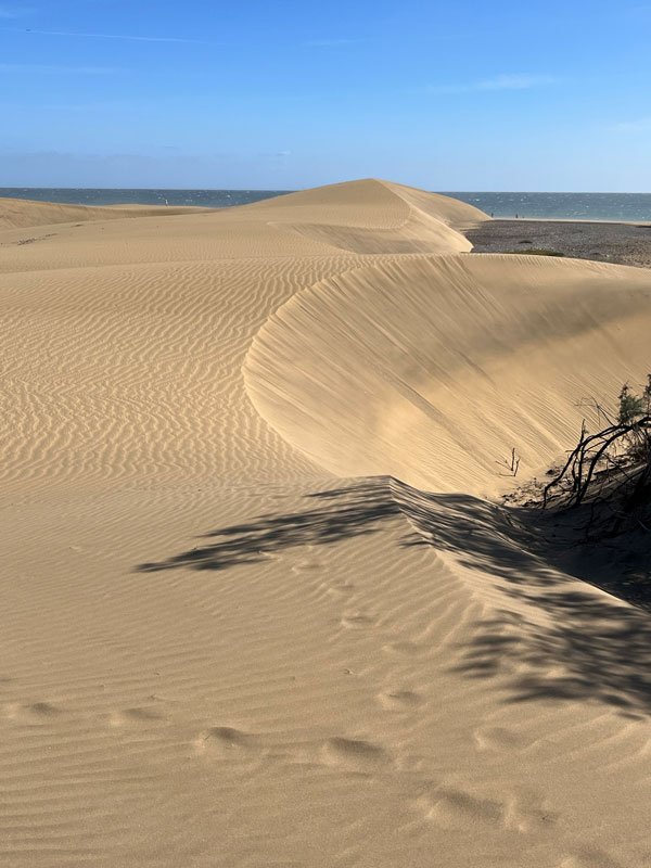 rolling sand dunes looking out to sea under a blue sky are one of the best gran canaria solo travel destinations