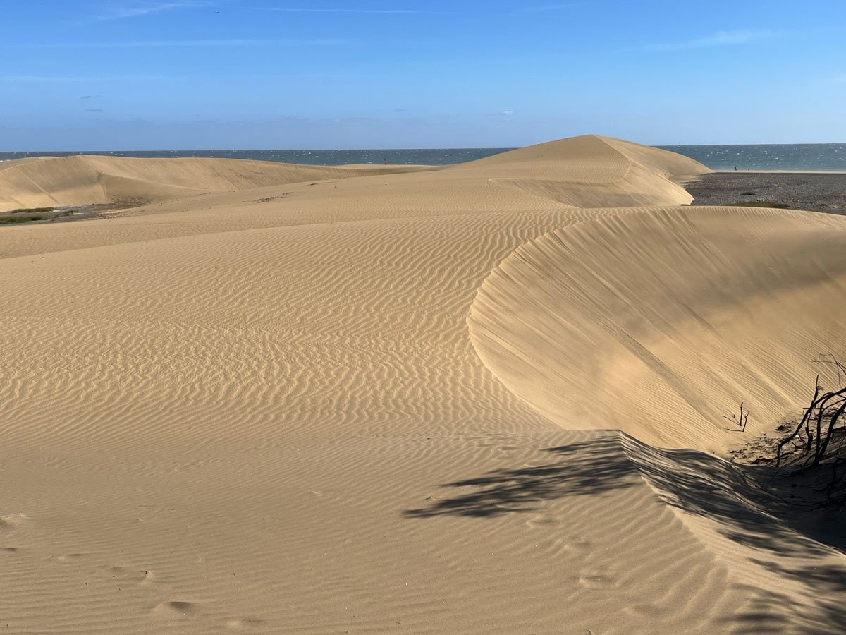 beautiful sand dunes with sea in distance