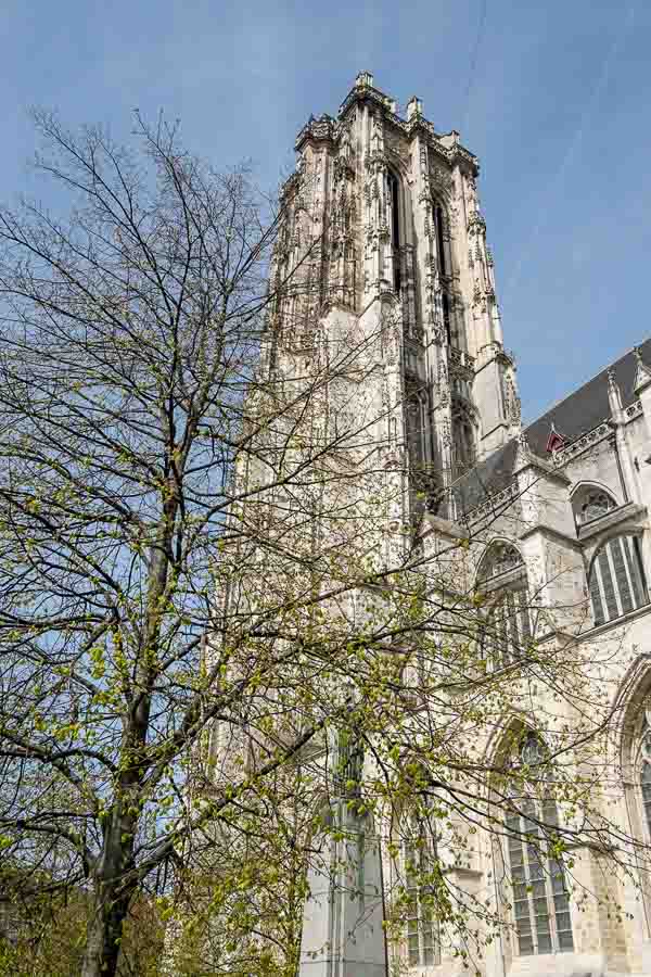 tall bell tower and white stone exterior of mechelen cathedral