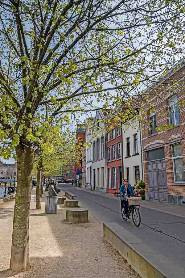 woman riding bicycle on pathway alongside a tree lined river bank