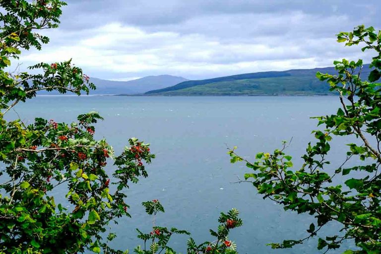 sea and mountains off mull scotland sea with rowan berries