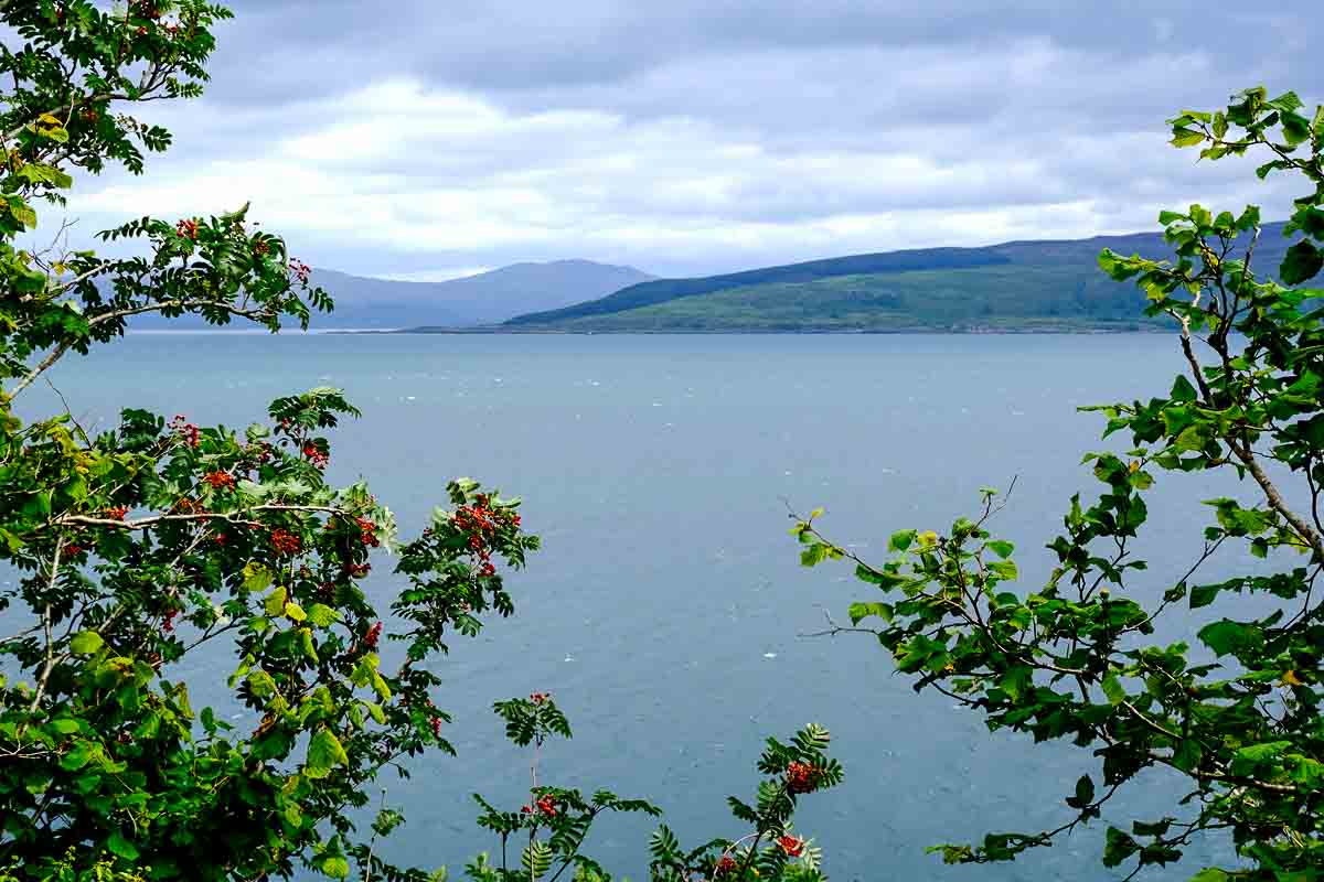 mull scotland sea and rowan berries