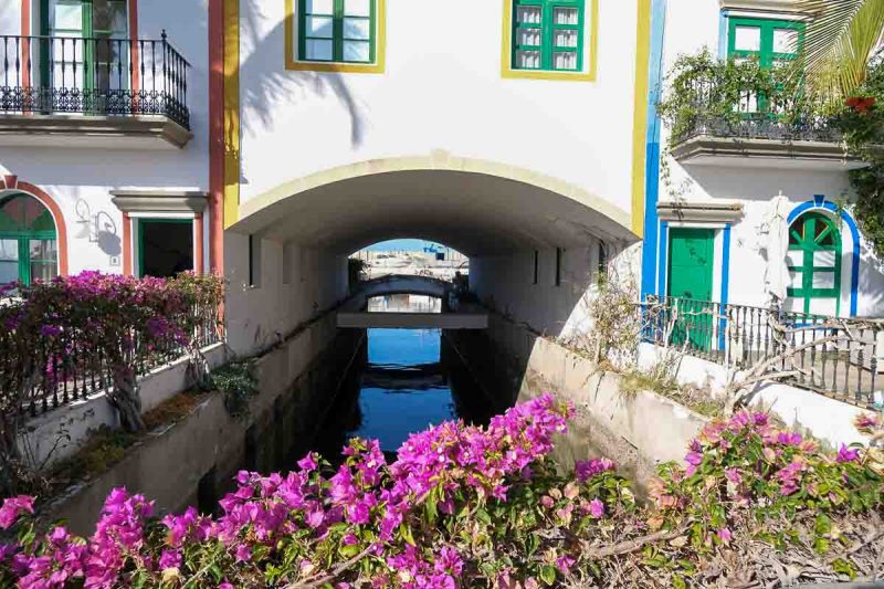 vibrant pink flowers in front of a water channel separating whitewashed buildings