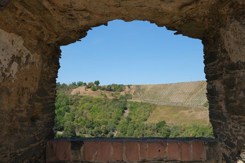 view of tress and vineyards on a steep slope through and arched opening at rheinfels castle germany