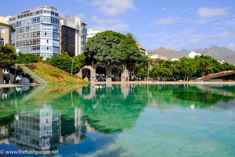 buildings and tree reflected in lake with mountain in background in tenerife