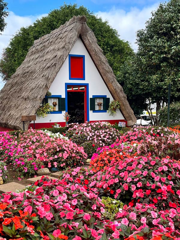 a lush bed of pink and red flower in front of a house with thatched roof and red and blue window frames