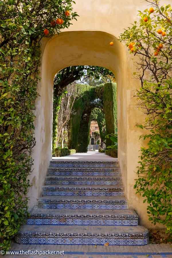 tiled steps leading through arch framed by orange trees