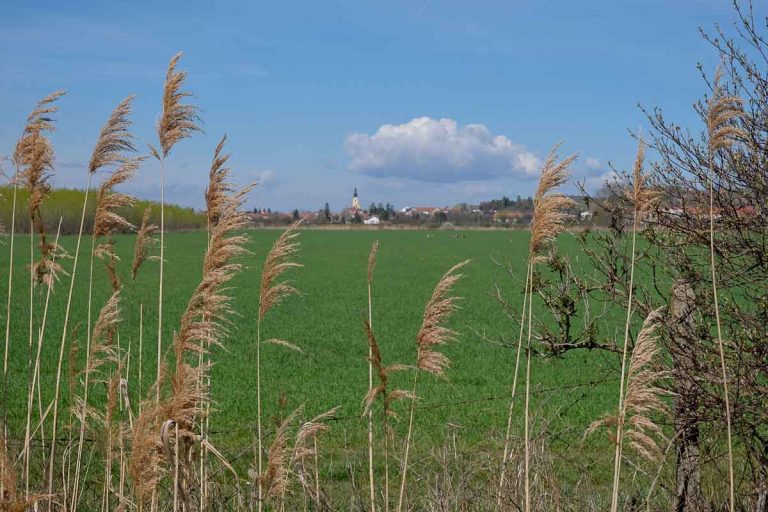 distant view of village of popice seen across fileds