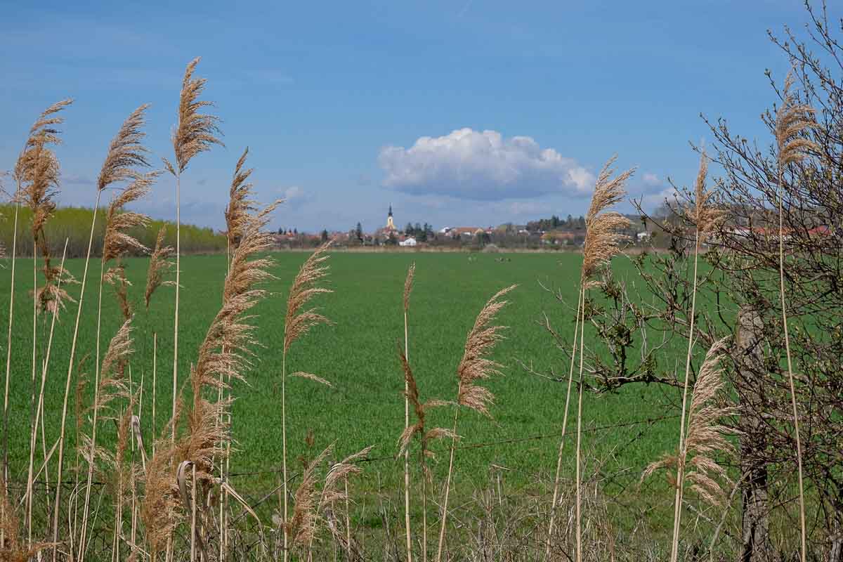 distant view of village of popice seen across fileds