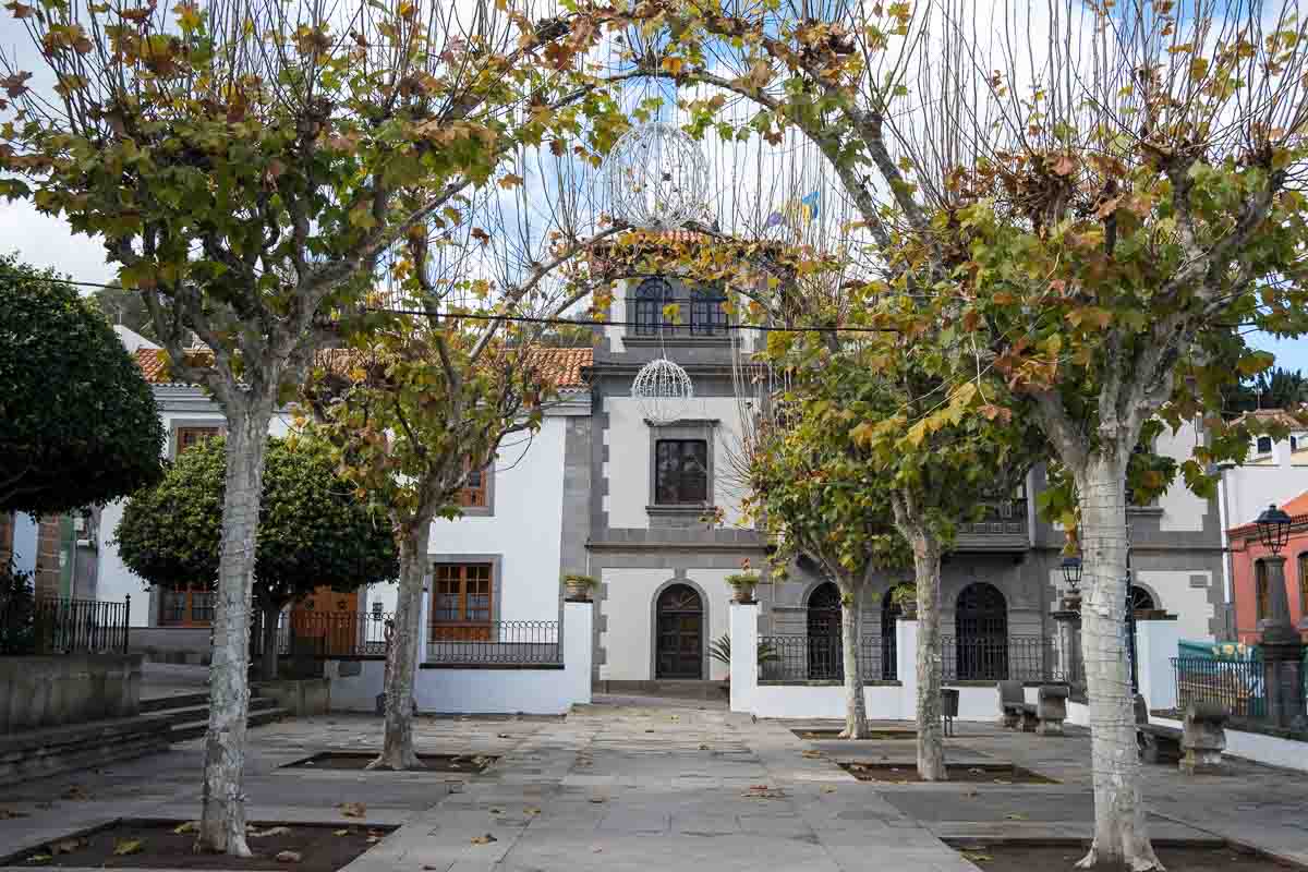 2-storey grey and white building framed by an avenue of trees in a square