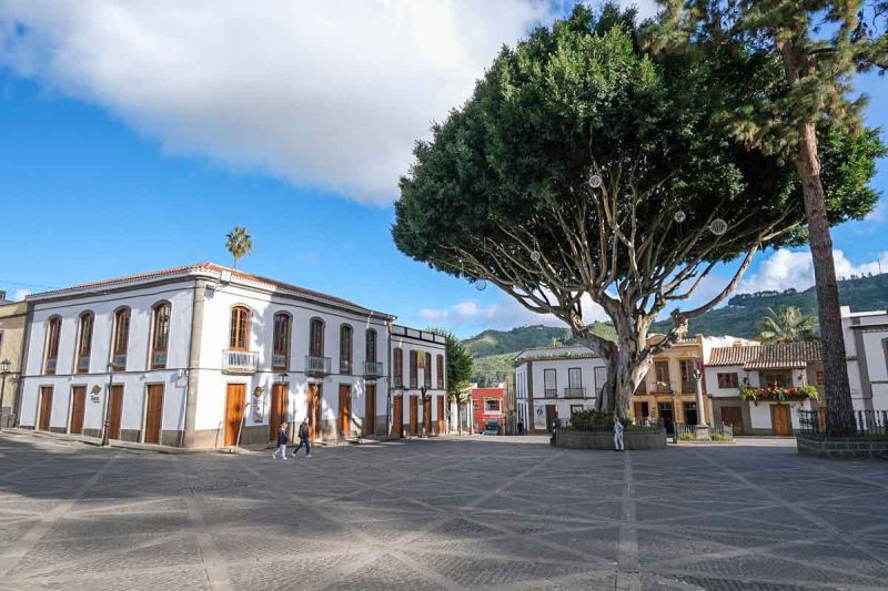 large square in town of teror in gran canaria with low whitewashed buildings and a large tree