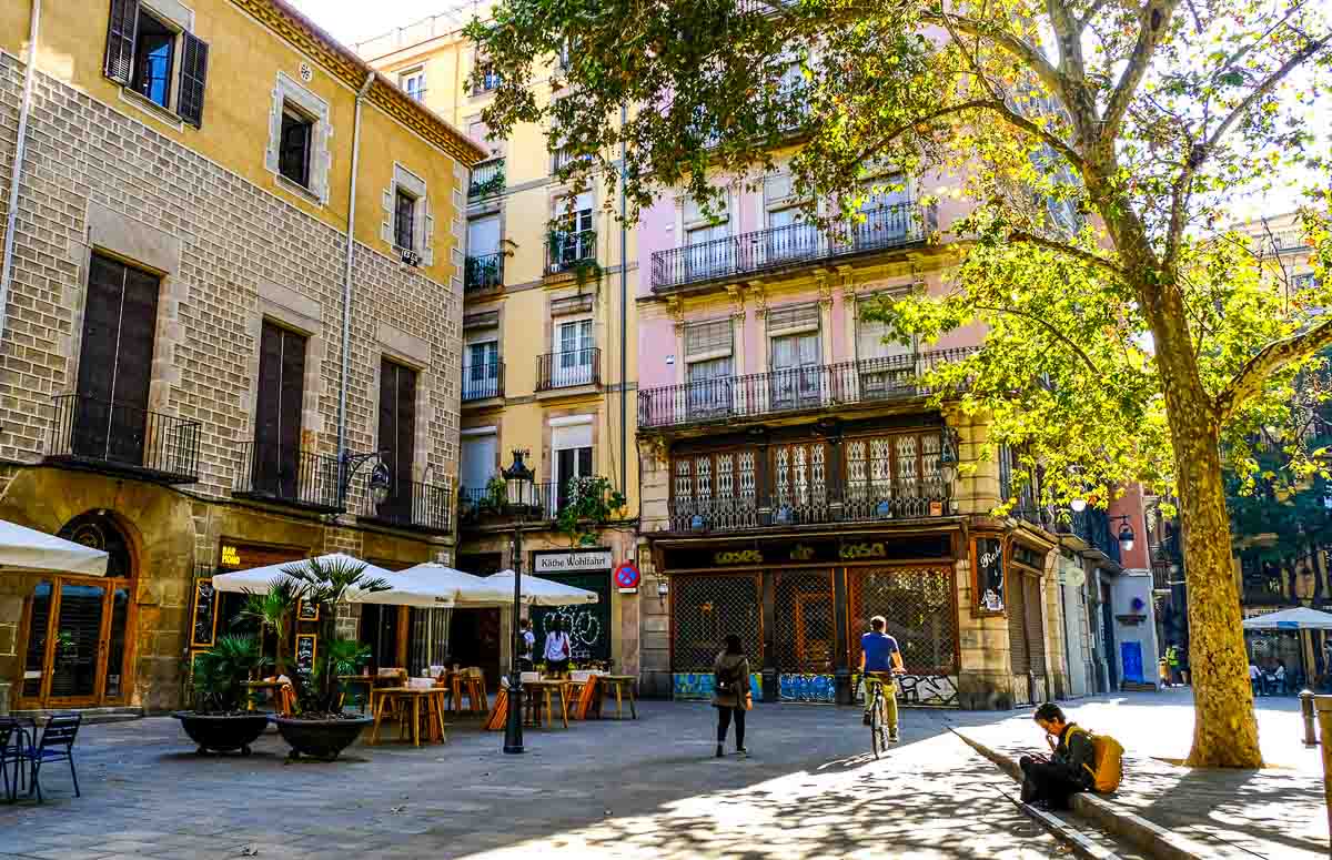 a peaceful square with large tree and outdoor cafe