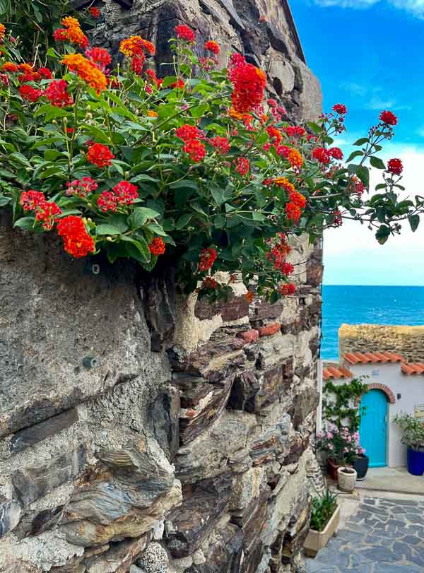 red flowers clinging to a stone wall leading to a view over the sea