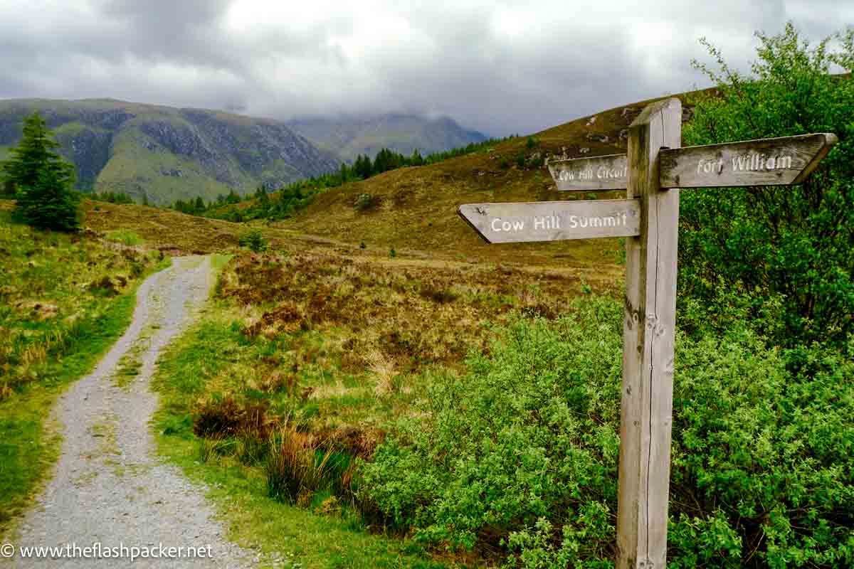 wooden signpost by path in valley