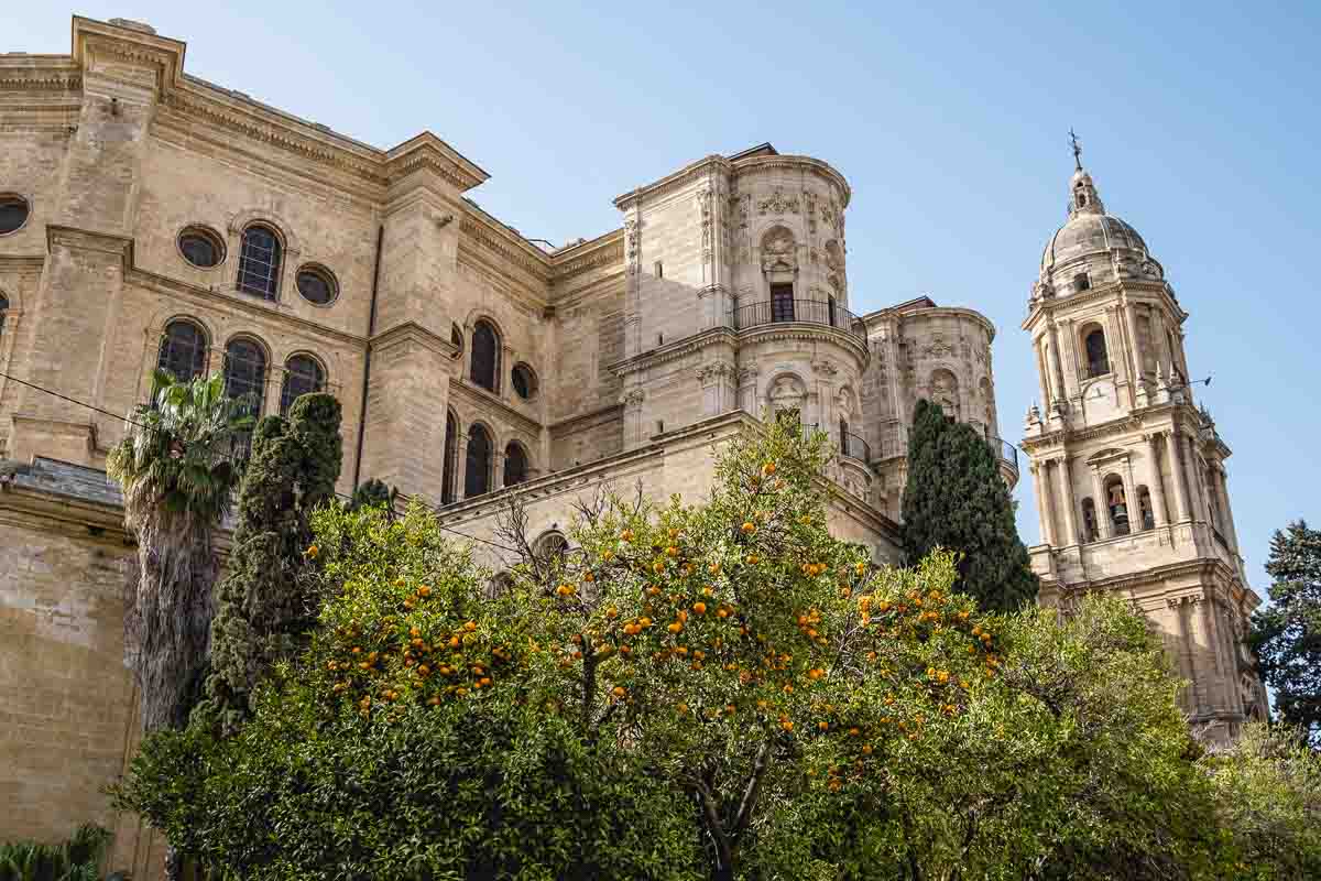 exterior of malaga cathedral with bell tower and orange tress