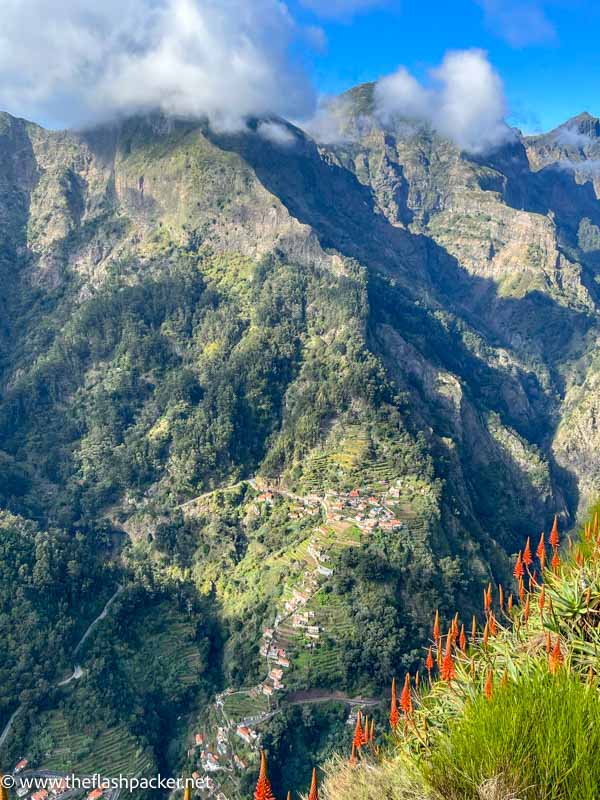 row of orange flowers against a backdrop of deep canyon of nuns valley with village at bottom