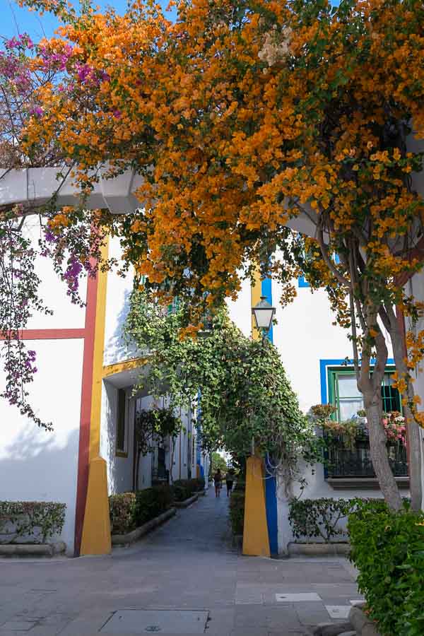 orange and pink flowers framing a whitewashed archway