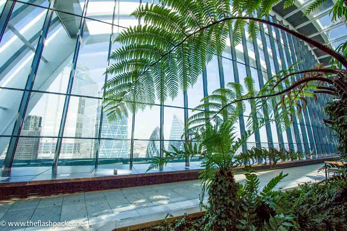 kyscrapers through the curved windows of sky garden london framed by palm trees