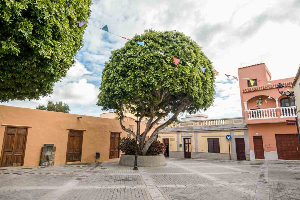 pretty town square in aguimes lined with pink ochre and yellow buildings and has a large tree in centre