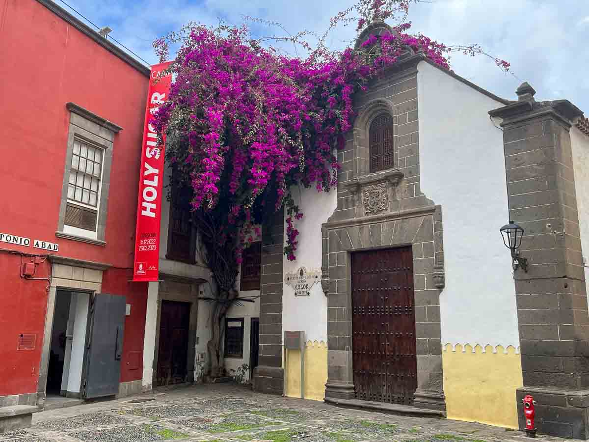 plaza with small chapel draped in purple flowers next to a red building in vegueta in las palmas de gran canaria