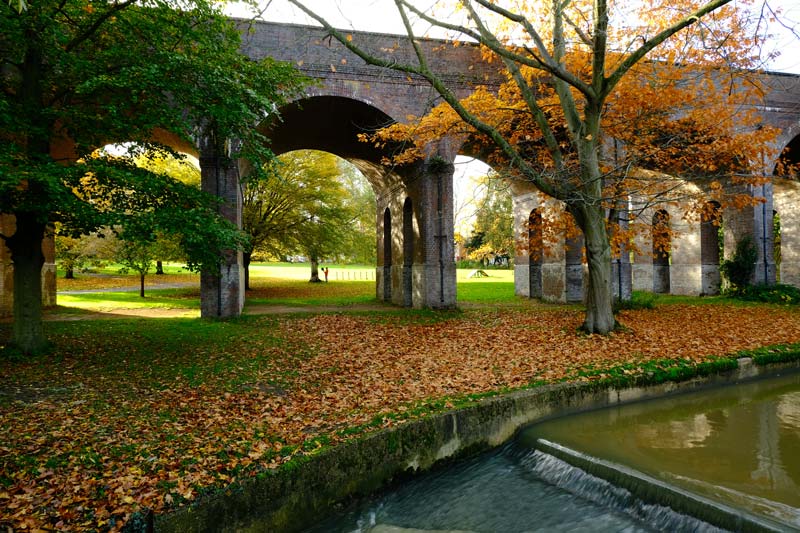 arches of railway viaduct with autumn leaves in ground