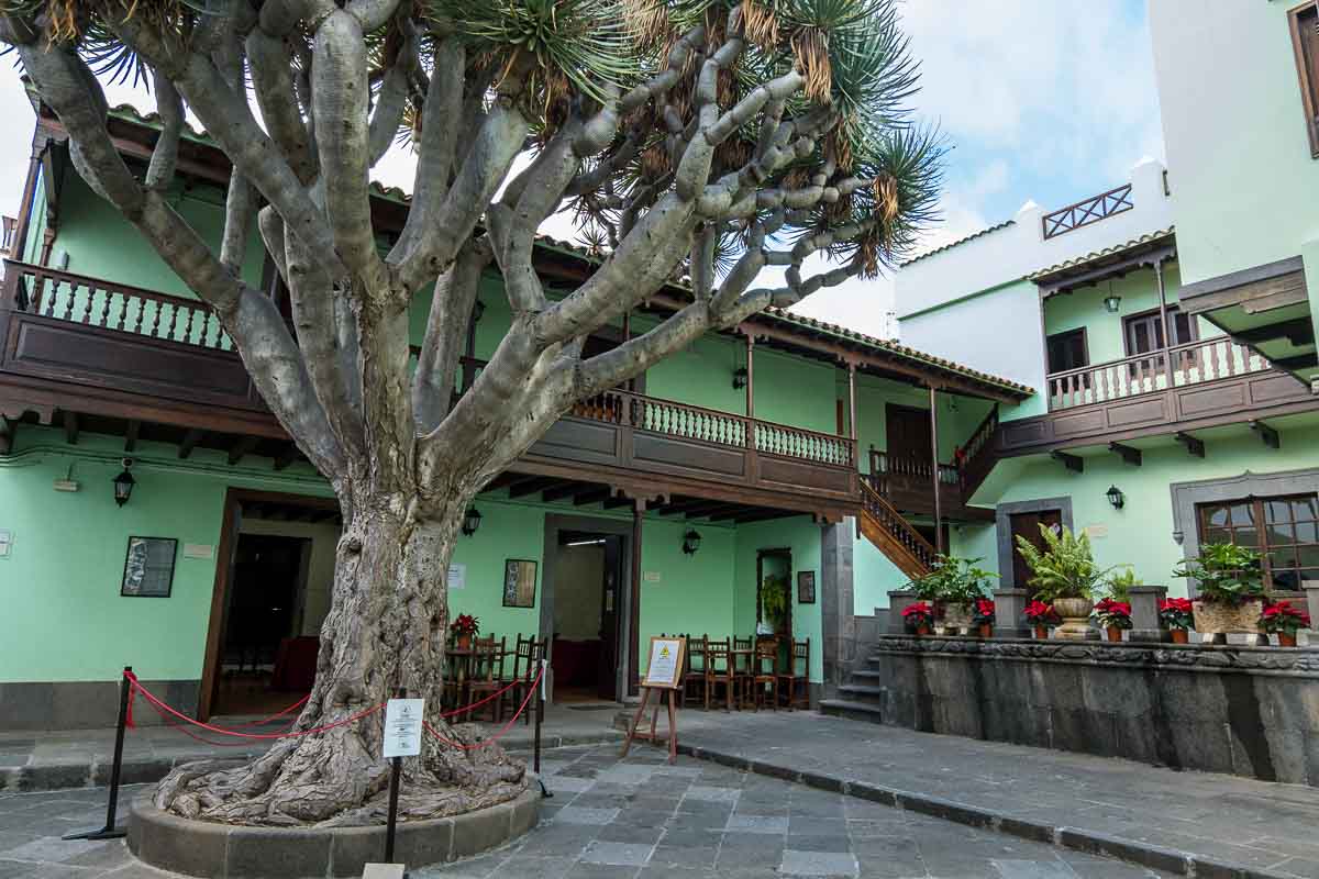 patio lined with lime green low buildings with a large tree at the centre