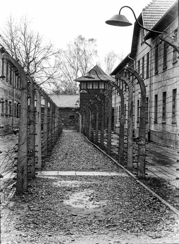 barbed wire and barrack buildings at auschwitz