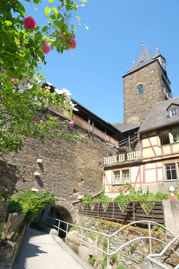 path along wall of the town of bacharach framed by pink flowers pretty old buildings and a tower