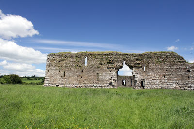 ballymoon-castle-carlow-ireland