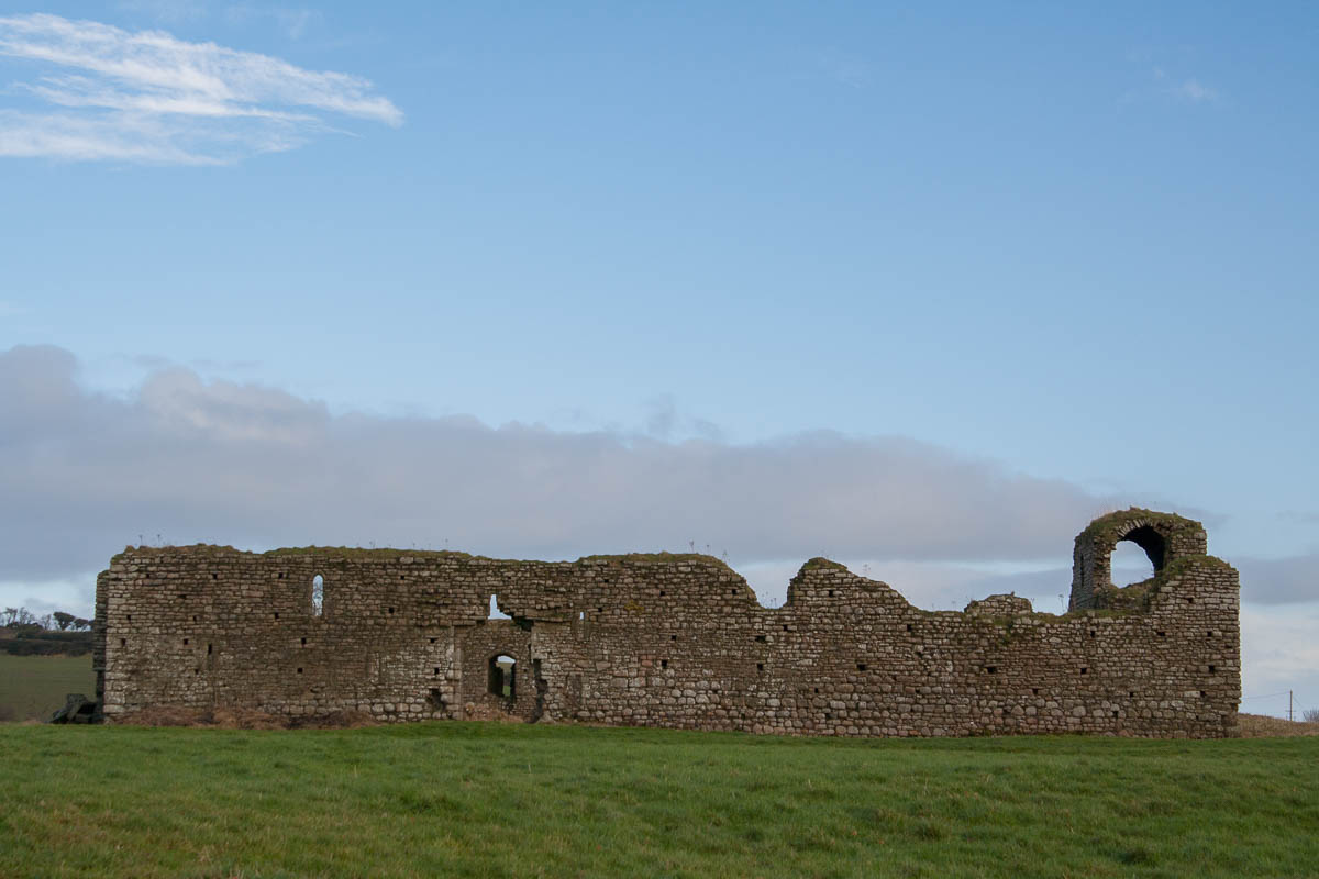 a ruined castle in a field in ireland