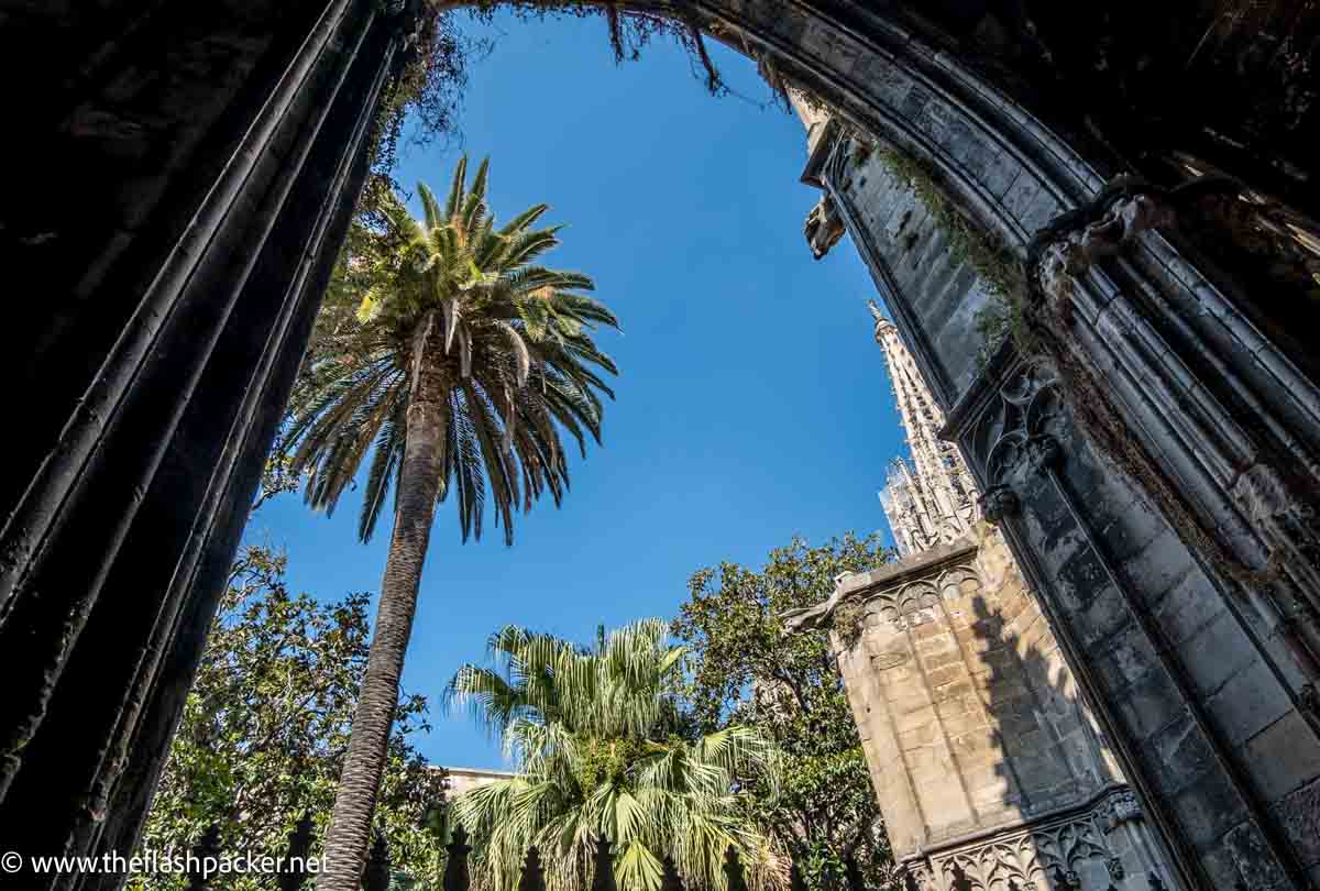 palm trees and exterior of cathedral seen through gothic arch of cloister